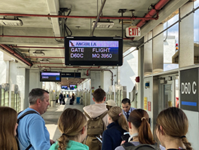 An image from our Anguilla album