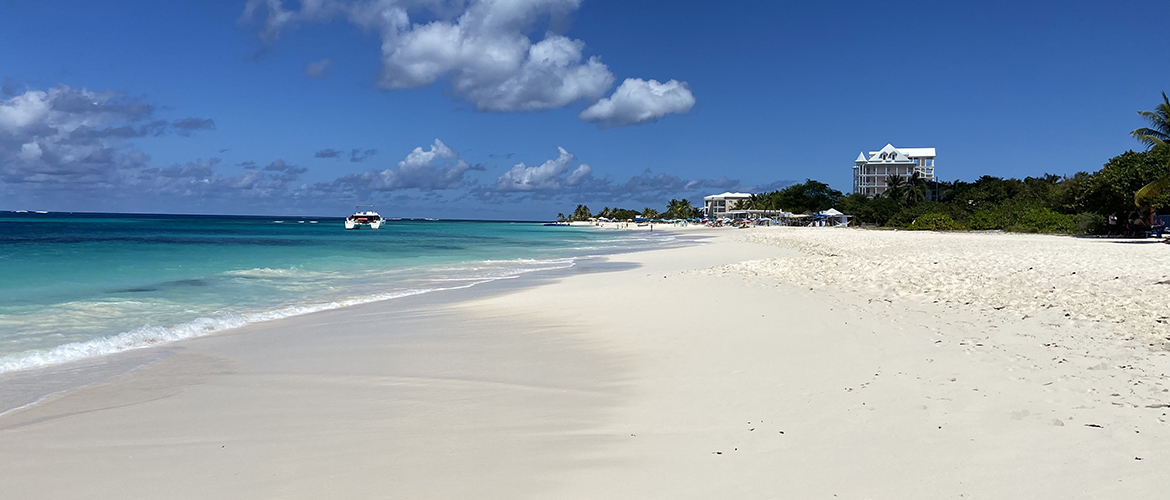 An image from Shoal beach