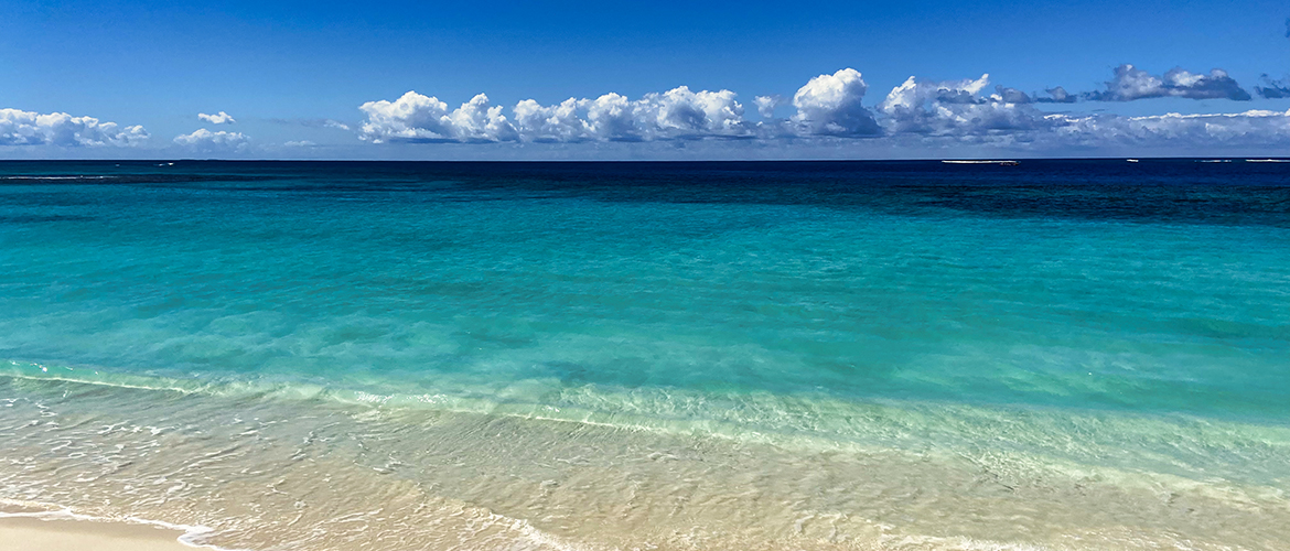 An image from Shoal beach