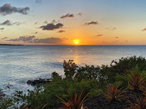 An image from our Anguilla album