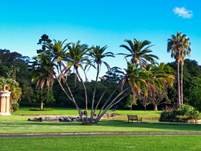 An image from our Sydney album