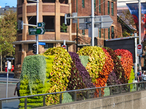 An image from our Sydney album