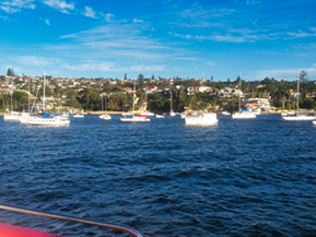 An image from our Sydney album