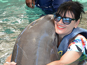 The image with the dolphin