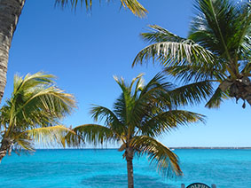 The image from the Blue Lagoon Island