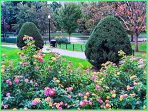 An image from Boston