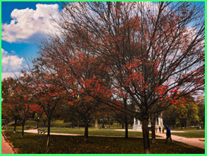 An image from Boston