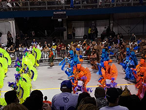 The image from Samba School Carnival, Sao Paulo