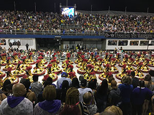 The image from Samba School Carnival, Sao Paulo