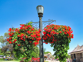 The image from Niagara Falls