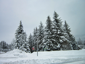 Image of the road covered by snow on the way to Whistler