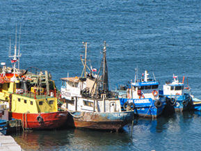 An image of Valparaiso from our Chile album