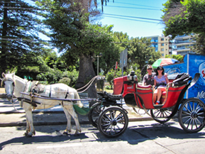 An image from Vina del Mar from our Chile album