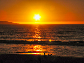 An image from Vina del Mar from our Chile album