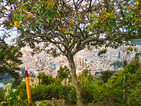 An image from our Colombia album