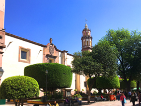 An image from our Queretaro album