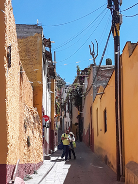 An image from our San Miguel de Allende album