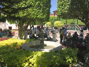 An image from our San Miguel de Allende album