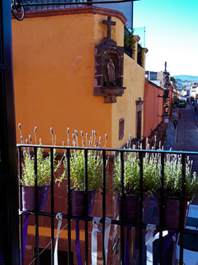 An image from our San Miguel de Allende album