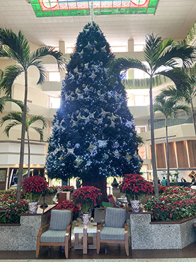 An image from the Fiesta Mexicana