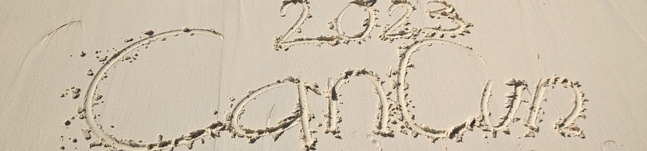 An image from the beach Cancun 23