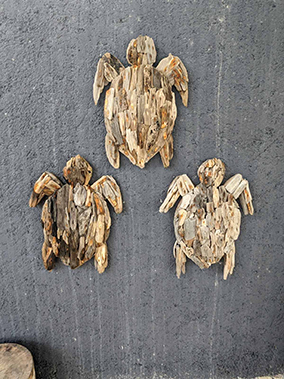 An image from the beach Cancun