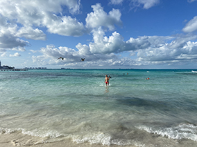 An image from beach album