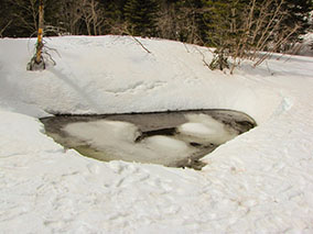 An image from Bear Lake from our albums