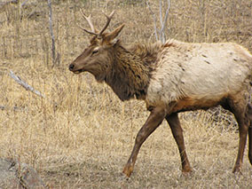 An image of scenary on CO 7 Hgwy from our albums