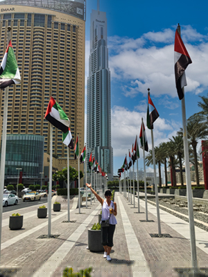 An image from Dubai shopping center