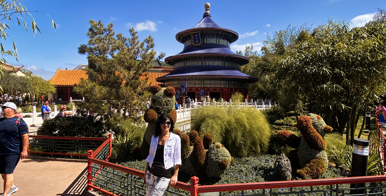 An image from Magic world