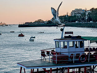 Image from Gateway of India