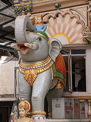 Image from Jane temple