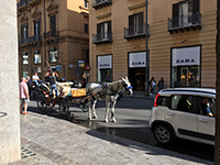 Palermo street image