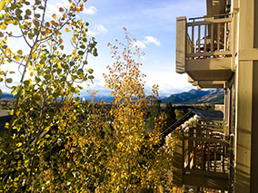 The view from Four Seasons hotel to the souroundings