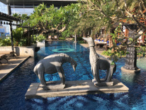 Another capture of Four Seasons hotel pool.