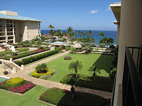 An image from Four Seasons hotel, Maui