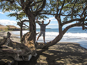 An image from Lahaina Maui