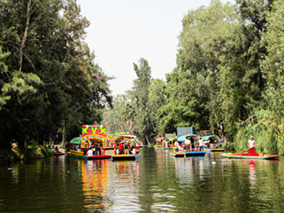 An image from Xochimilco from our album