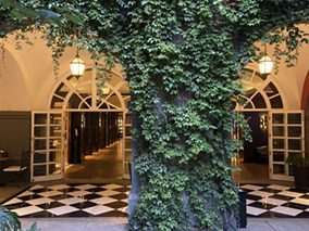 An image of Teotihuacán pyramides from our album