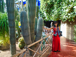 An image from the Majorelle Garden