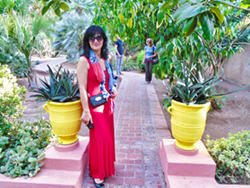 An image from the Majorelle Garden