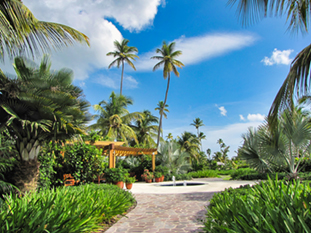 The Four Seasons Resort image