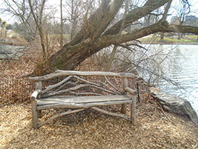 An image from New York from our album