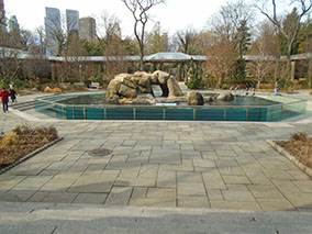 An image from New York from our album