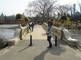 An image from New York from our album