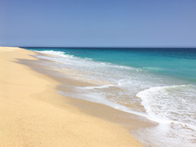 An image from our Los Cabos album