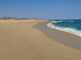 An image from our Los Cabos album