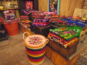 An image from our Los Cabos album