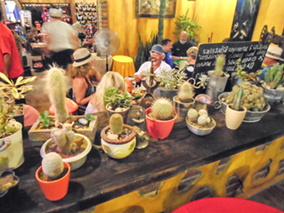 An image from our Los Cabos album